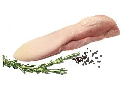 Lengua